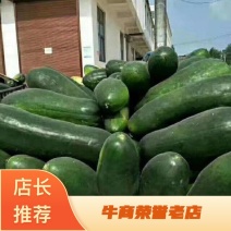 黑皮地冬瓜