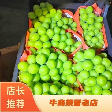阳光玫瑰