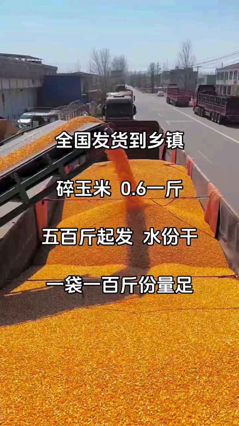 碎玉米
