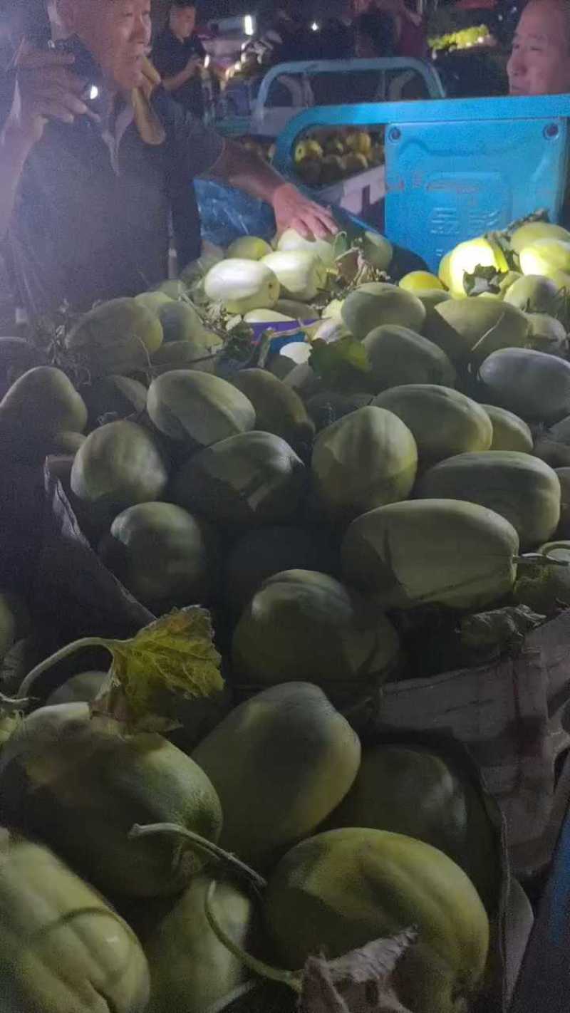 【新品种】金冠甜如蜜甜瓜糖度十七八个有场地有工人备货快运