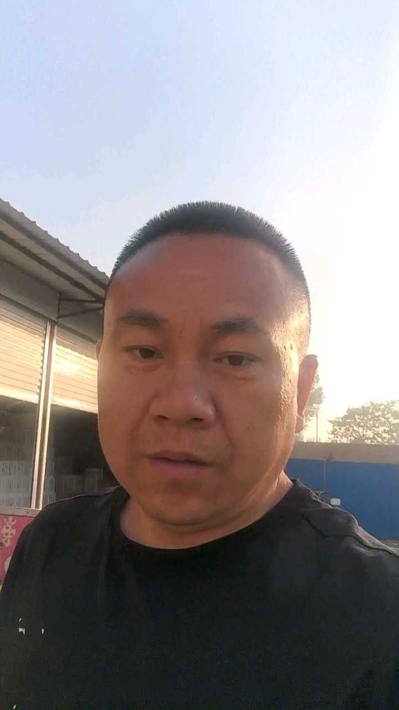 杏，凯特杏，河北大甜杏大量上市，凯特杏，麦黄杏