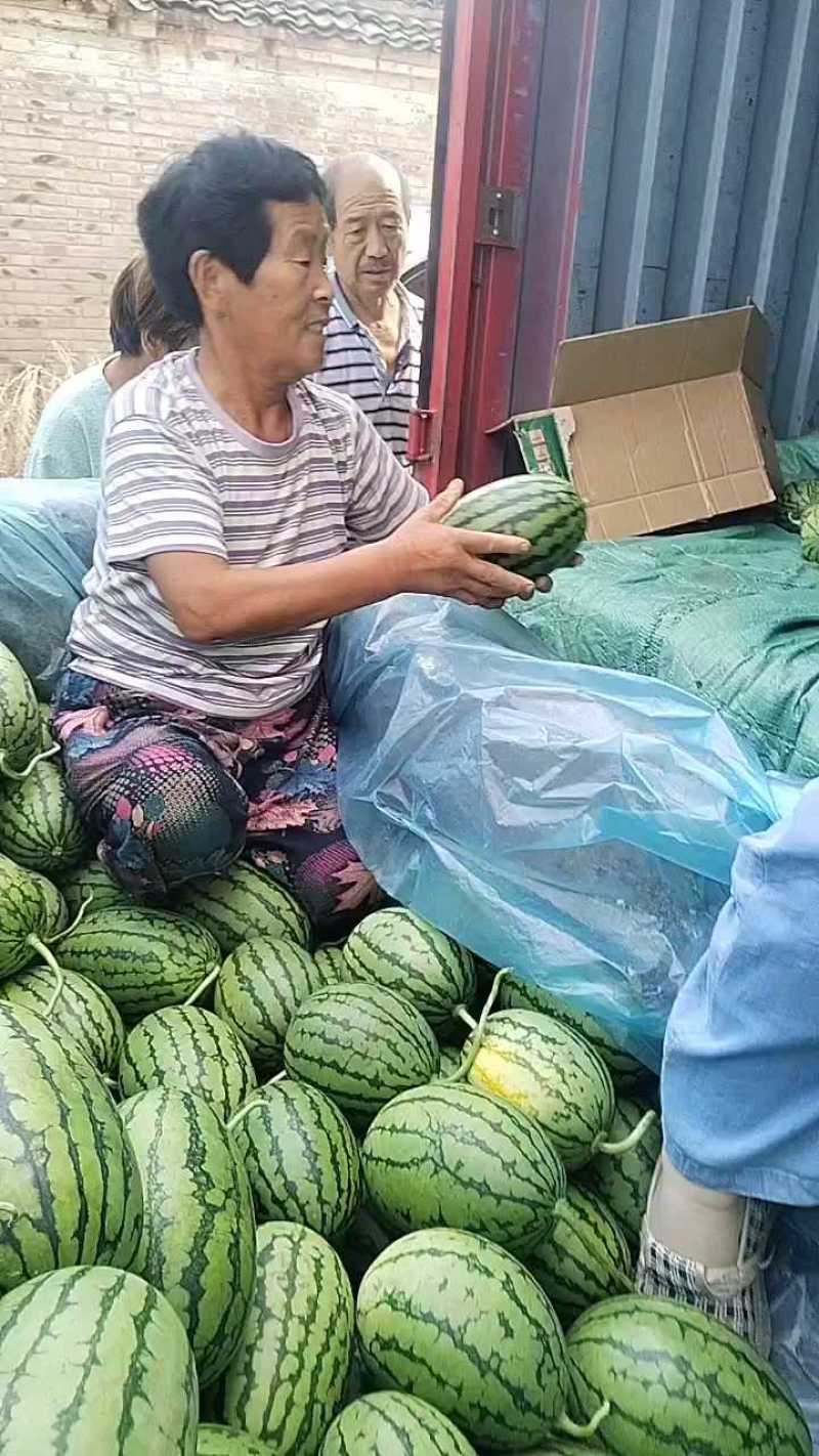 小糖丸西瓜口感好，价格合理，需要联系
