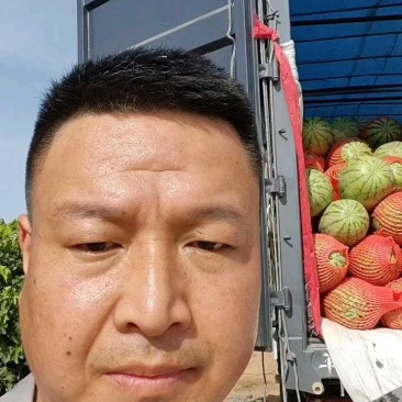 新疆西瓜吐鲁番金城5号西瓜温差大甜度高大产区车好找运费低