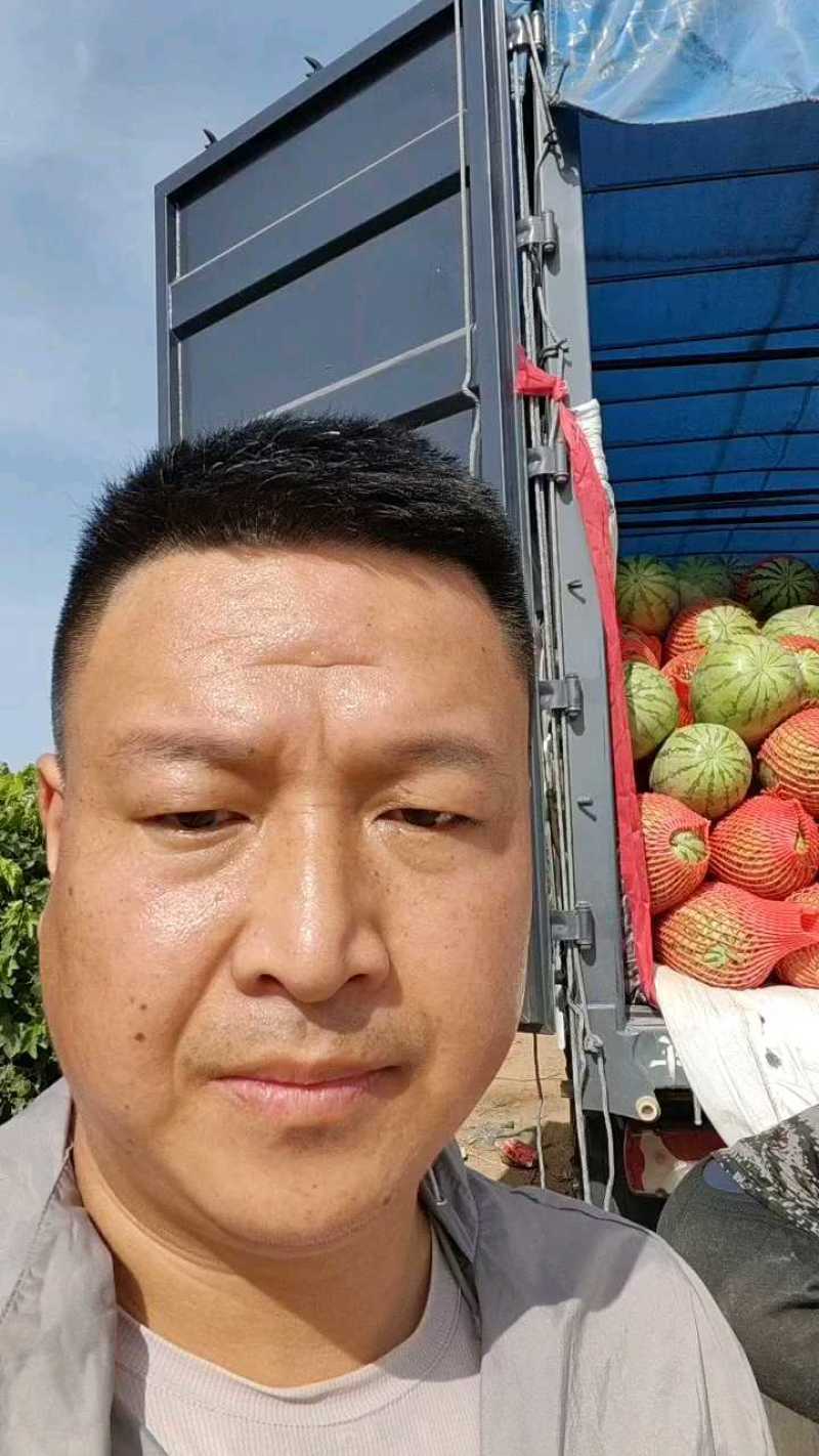 新疆西瓜吐鲁番金城5号西瓜温差大甜度高大产区车好找运费低