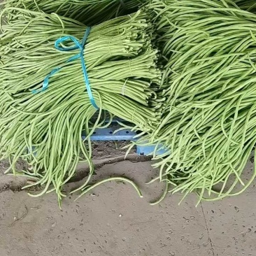 精品缸豆，大量有货供应，对接各大市场商超电商