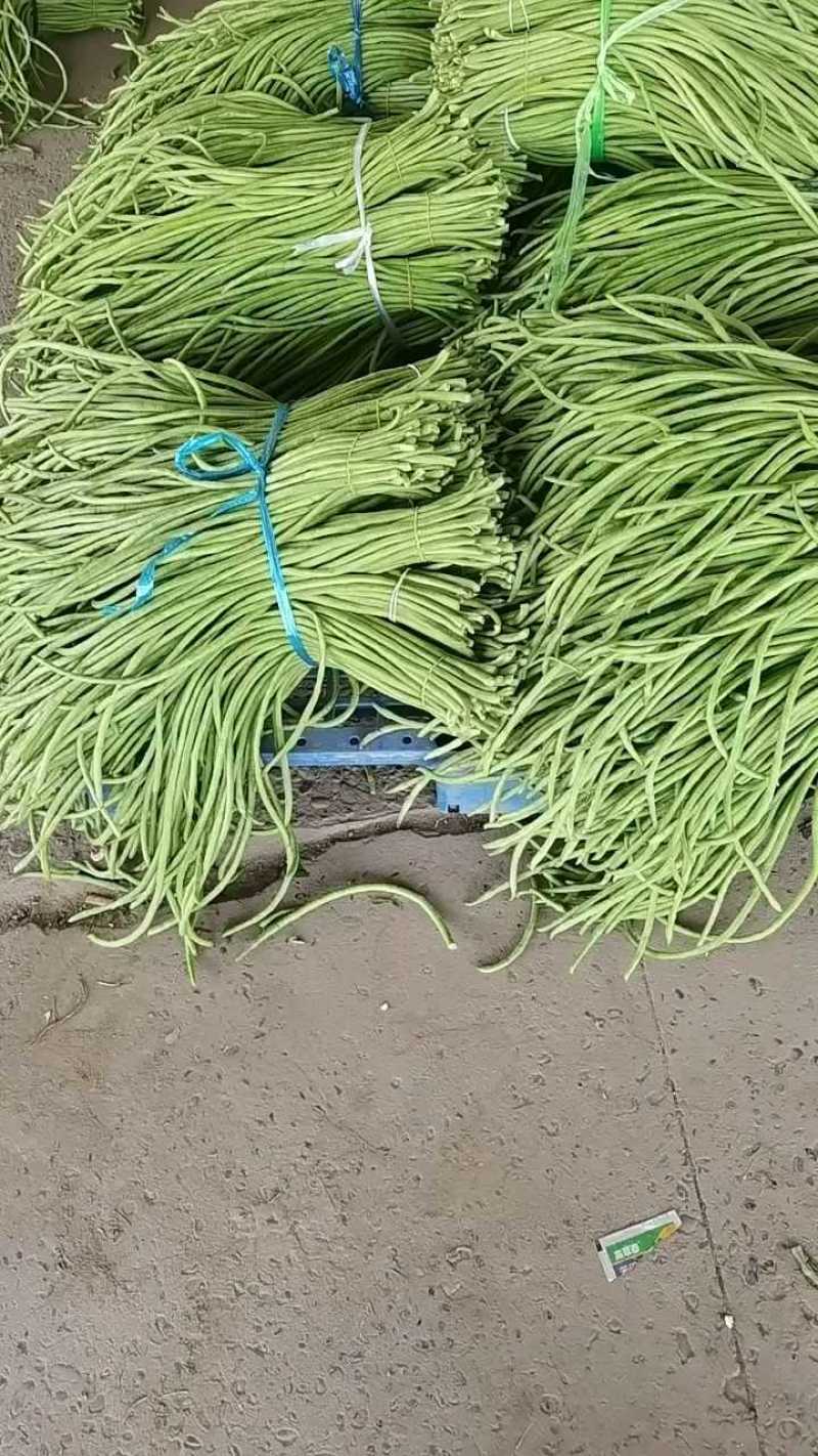 精品缸豆，大量有货供应，对接各大市场商超电商