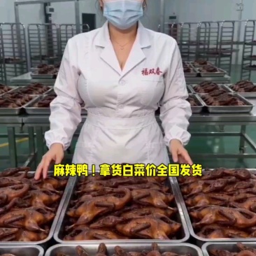 麻辣鸭烤鸭甜辣麻辣鸭头鸭脖鸭锁骨鸭翅鸭掌鸭胗鸭腿鸭肠藤椒