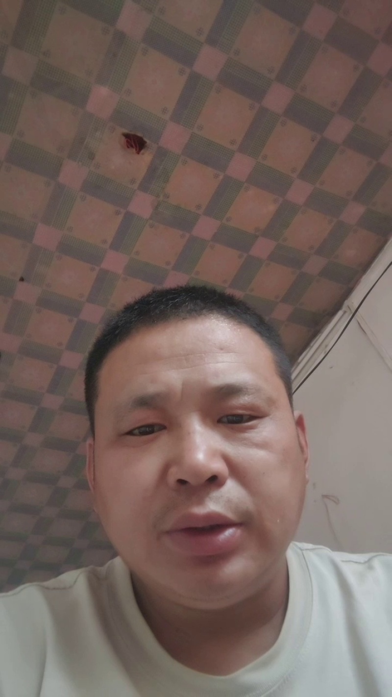 山东精品青条豆角供应食堂商超档口现摘现发价格实惠