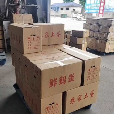湖北精品散养土鸡蛋/量大价优/鸡场供货/破损包赔