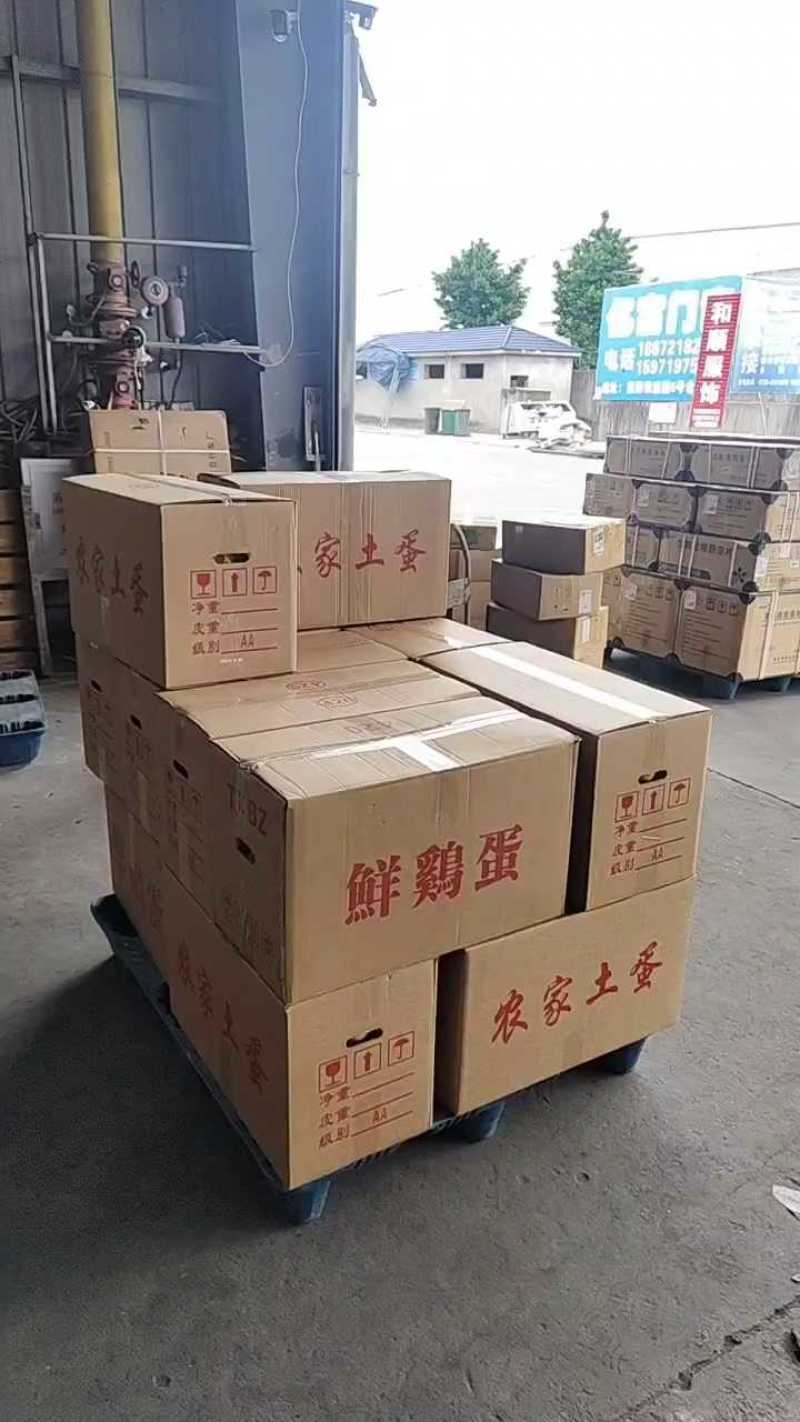湖北精品散养土鸡蛋/量大价优/鸡场供货/破损包赔