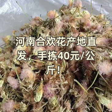 合欢花一一野药:材零售批发一手货源产地直发！