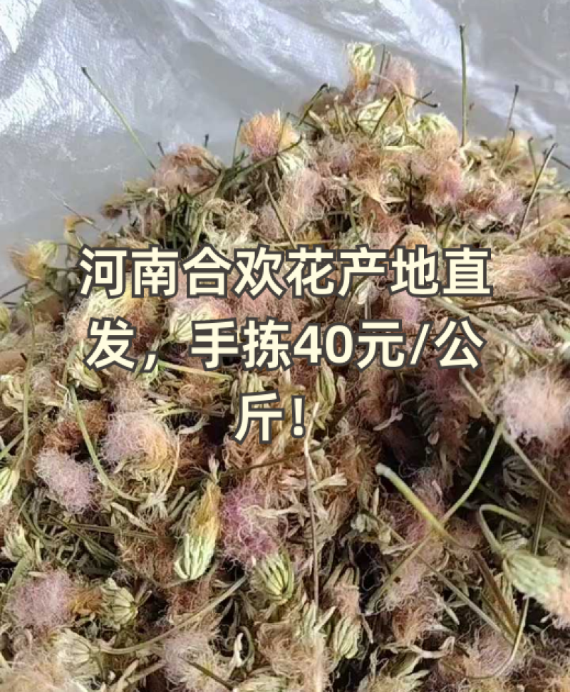 合欢花一一野药:材零售批发一手货源产地直发！