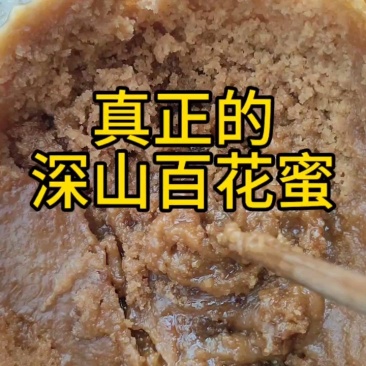 一年一采一二级土蜂蜜云南深山原蜜百花蜜现采现卖蜂农直供