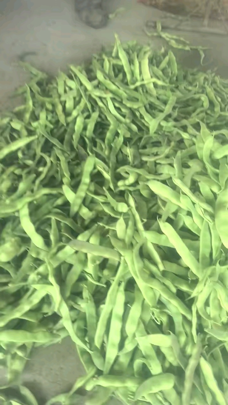 油豆