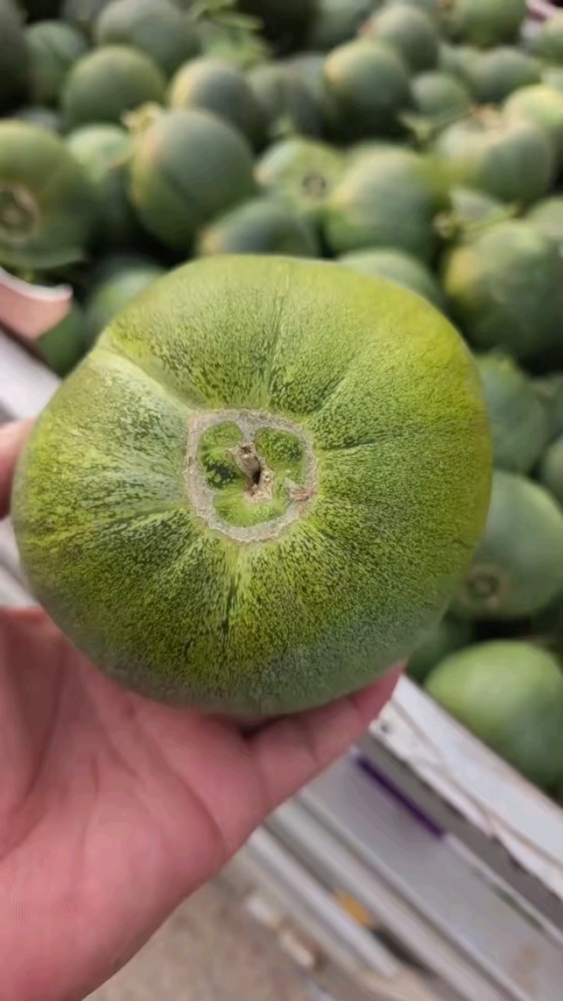 精品绿宝蜜香脆甜，全国代发保质保量！