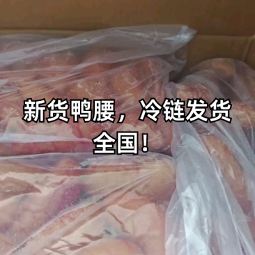 新货鸭腰，冷链发货全国！