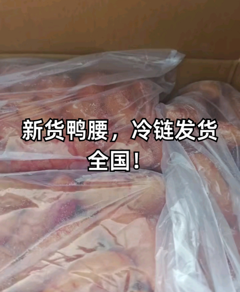 新货鸭腰，冷链发货全国！