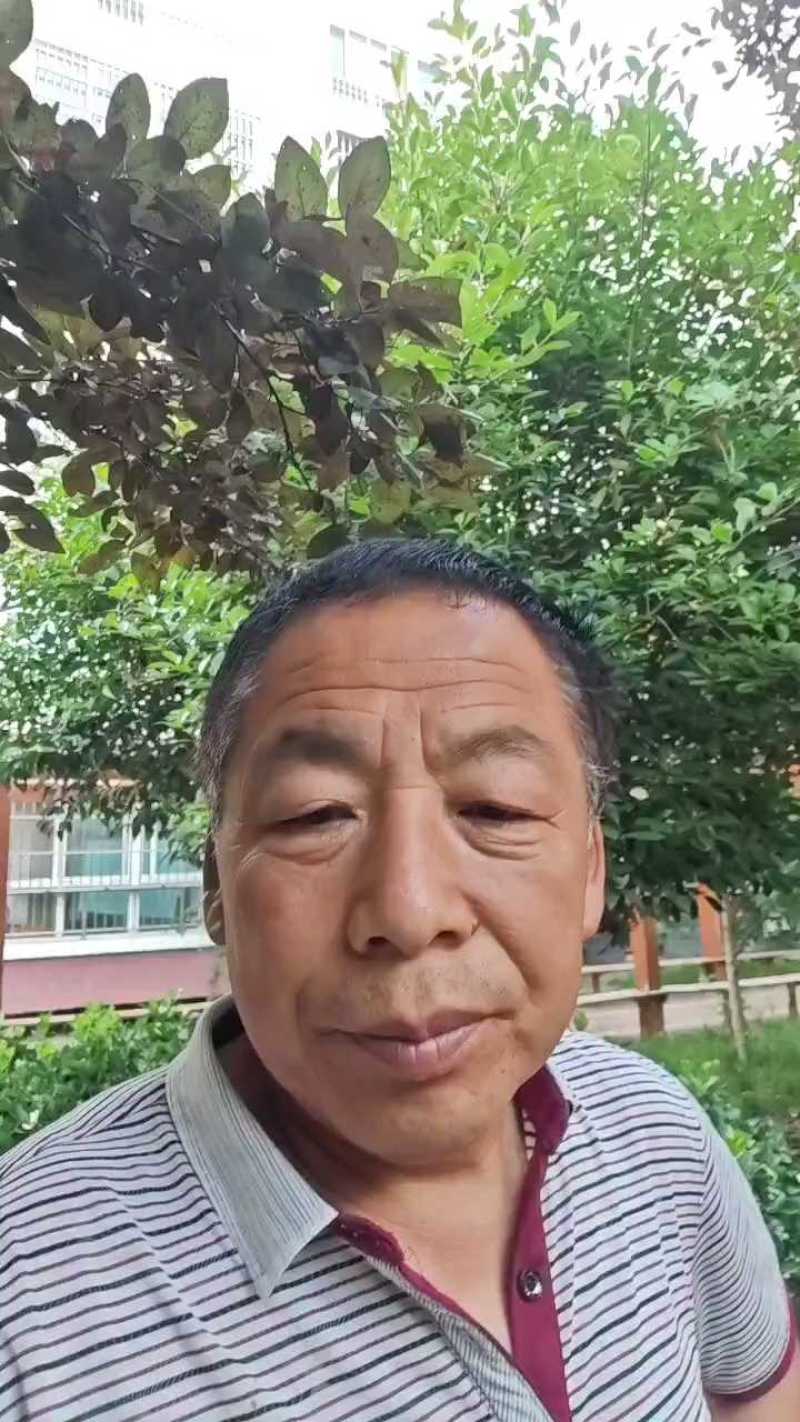 红薯粉条手工粉条，没有胶，试吃产品包邮