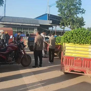 六月二号产地二炮，泡椒八毛走货快！