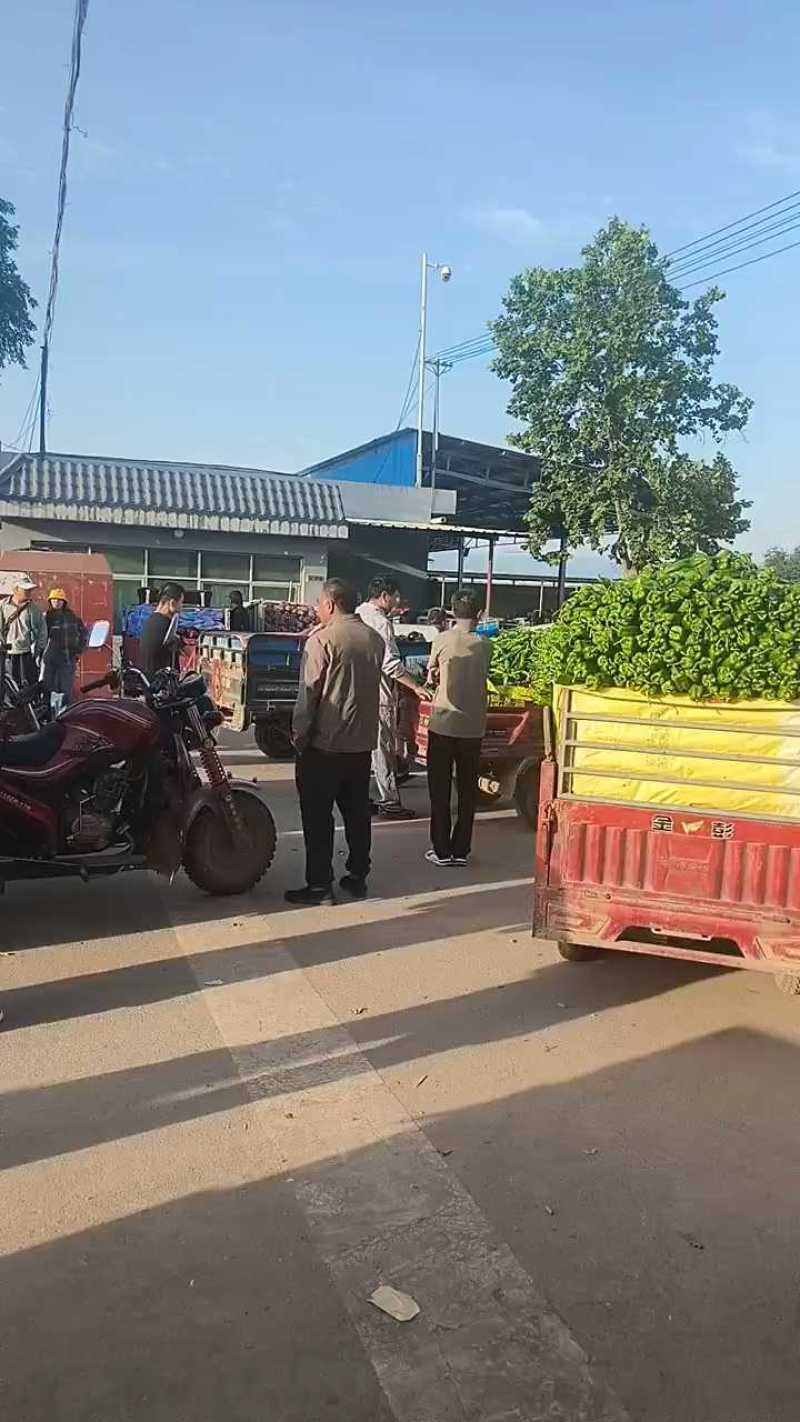 六月二号产地二炮，泡椒八毛走货快！