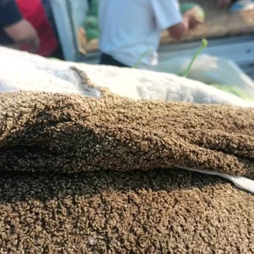 好货不贵，西瓜质量好，量大价优！