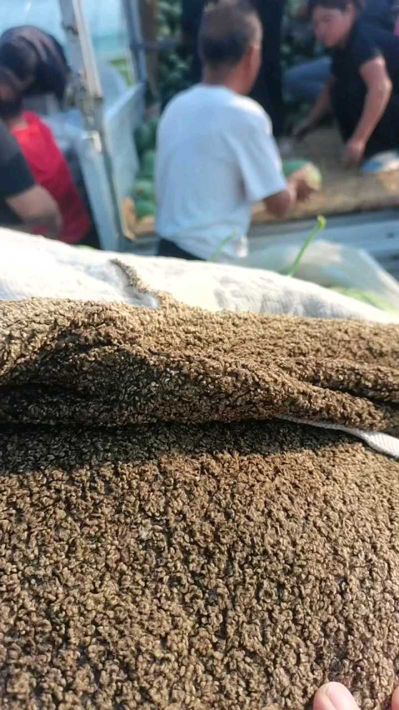 好货不贵，西瓜质量好，量大价优！