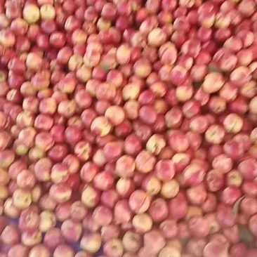 麻点大油桃大量上市，露天牛头2元起！