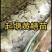 【推荐】黄鳝苗货源充足量大从优诚信经营实惠