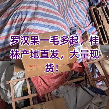 基地一手货源、桂林罗汉果,罗汉果、电商果、地摊果现货