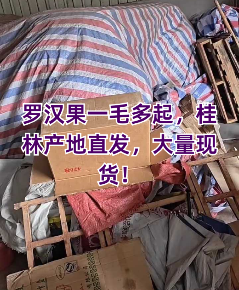基地一手货源、桂林罗汉果，罗汉果、电商果、地摊果现货