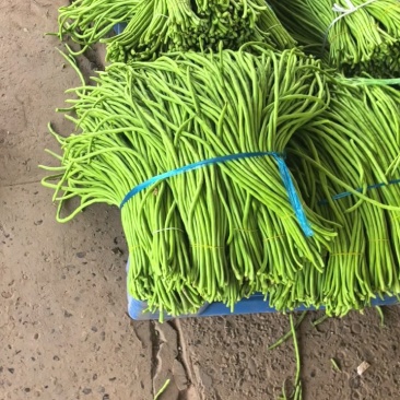 青条豆角豆角长豆角产地看货论价保质保量