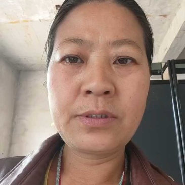 甘肃定西无硫黄芪瓜片原条节子干货产地供货临洮渭源岷县特产