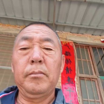 【精品】河南安阳滑县大量美都西瓜预售上市，欢迎咨询