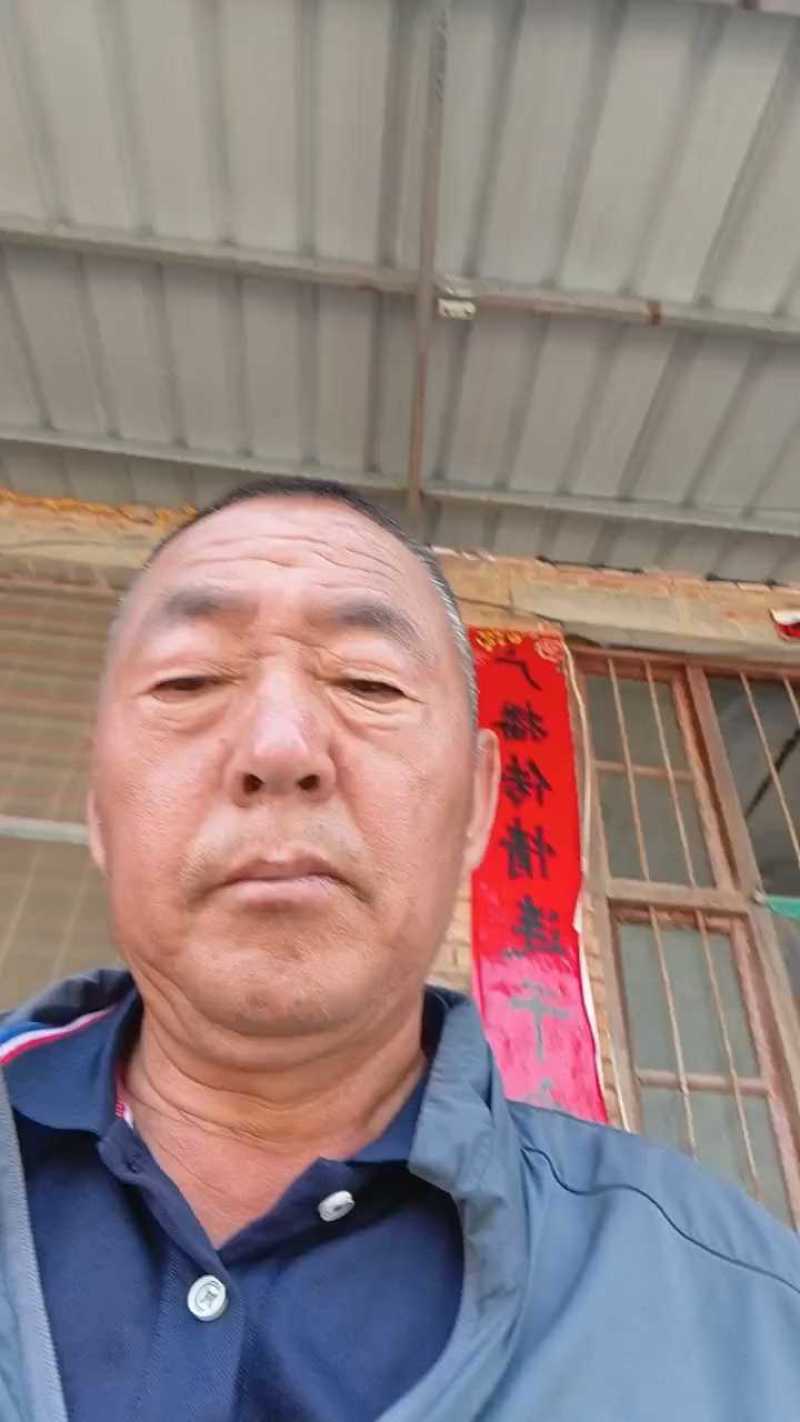 【精品】河南安阳滑县大量美都西瓜预售上市，欢迎咨询
