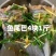 #记录摆摊生活的日常鱼尾巴4块1斤，#讲讲宝妈的心声