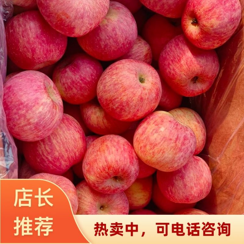 山西晋中祁县红富士苹果优质果一手货源
