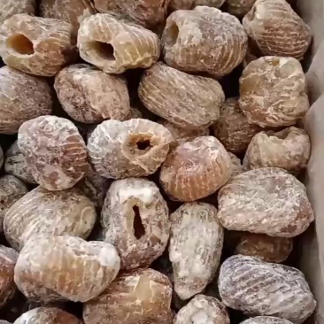 包粽子枣糕用金丝无核蜜枣阿胶蜜红无核厂家直供一手货源