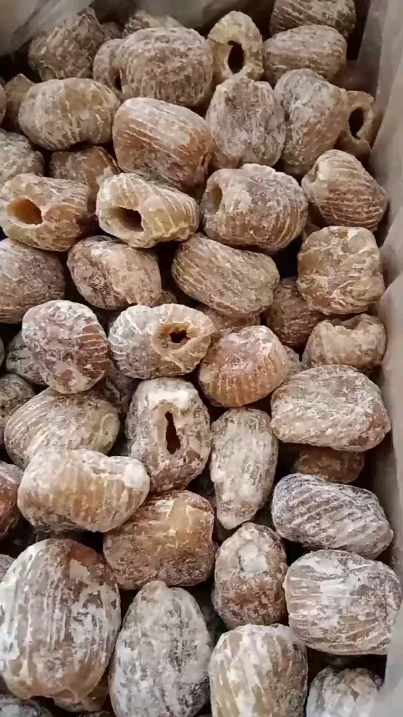 包粽子枣糕用金丝无核蜜枣阿胶蜜红无核厂家直供一手货源