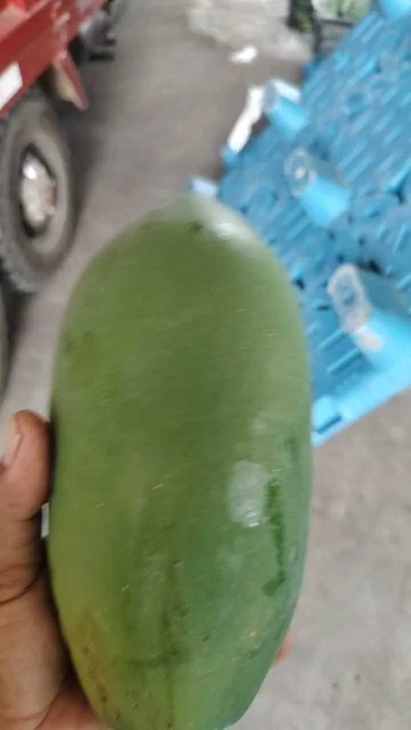西双版纳大青红心木瓜货源充足产地发质量保证