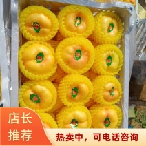 2026超甜陕西渭南大荔县黄油蟠桃黄肉个大诚信发全国