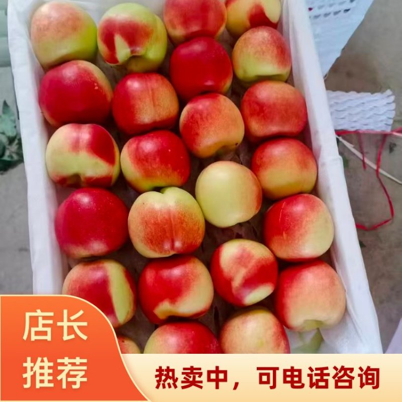 2026陕西大荔县珍珠枣油桃大量上市口感脆甜品质好