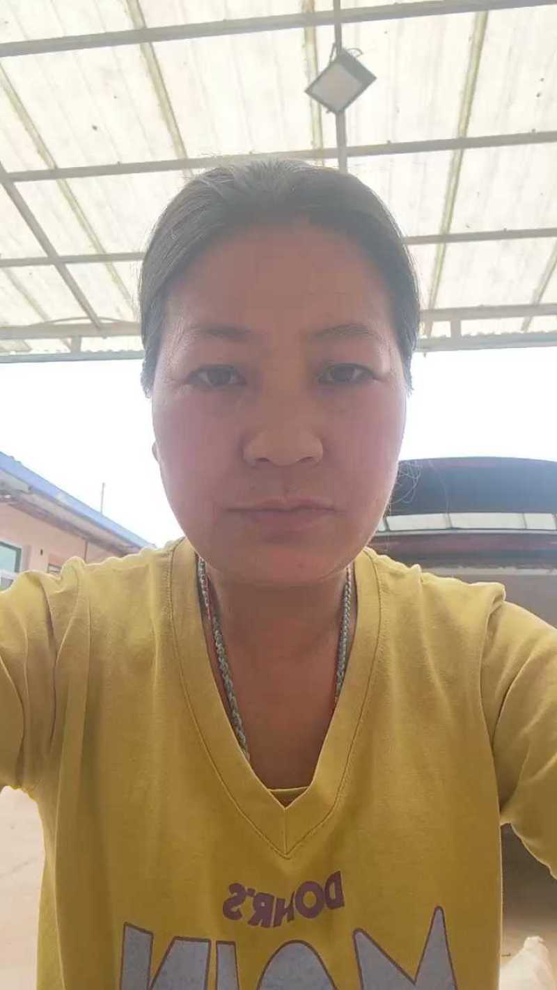 白条党参颗粒