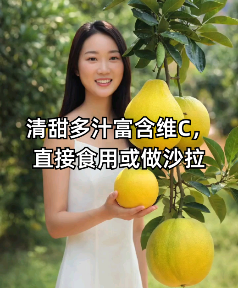 井冈蜜柚金沙柚基地。产品具有甘甜、柚香、肉脆、耐藏特点。