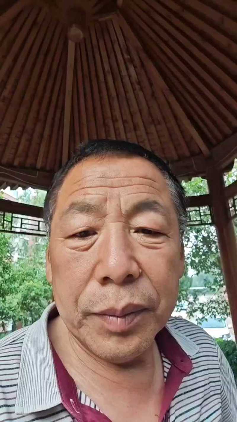 红薯粉条手工粉条，没有胶，试吃产品包邮