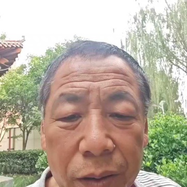 红薯淀粉