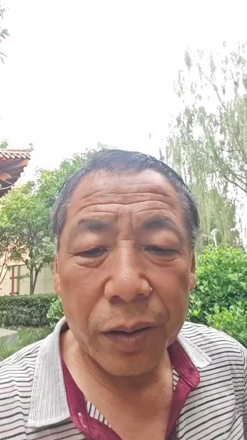 红薯淀粉