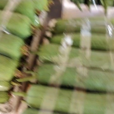 中长规格，长度适中，品质优良。