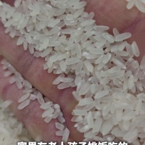 五常稻花香2号香米基地核心产区自产自销诚信经营