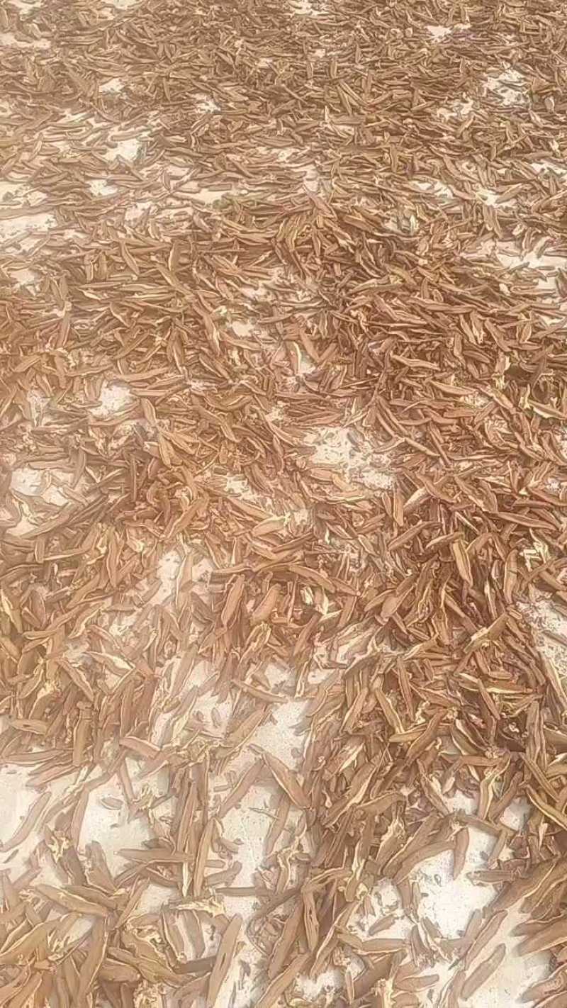 灵芝切片厚薄可定制泡酒煲汤打粉都行按需求加工定制承接电商餐饮