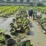 盆栽荷花一盆20支15块钱一盆合0.75一支